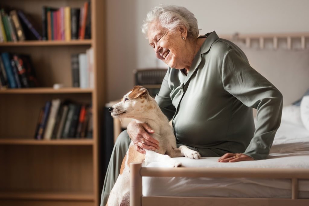Aged Care Support