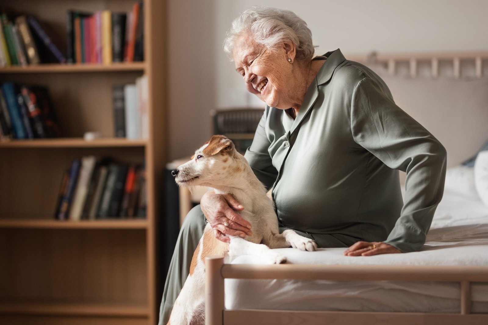 Aged Care Support